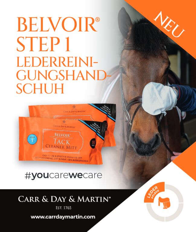 CARR & DAY & MARTIN Belvoir Lederreinigungshandschuhe